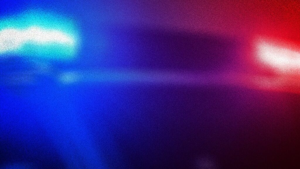 Livingston Man Ellis Bibbs Killed in Two-Vehicle Crash on Alabama Highway 28