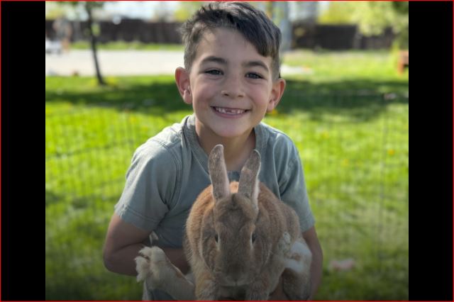 7-Year-Old Graham Summers Killed in I-84 Crash in Canyon County